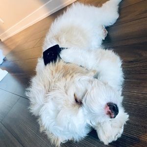 Meet your Posher, Manuela